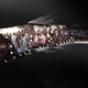 Lanternfish have both bioluminescent organs and an increased number of rhodopsin genes.